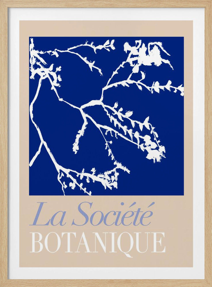 La Société Botanique White Flower 2 | Poster