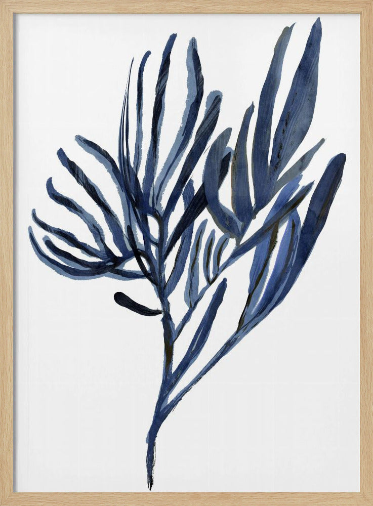 Blue Aquatic Plant Poster 2 | Poster