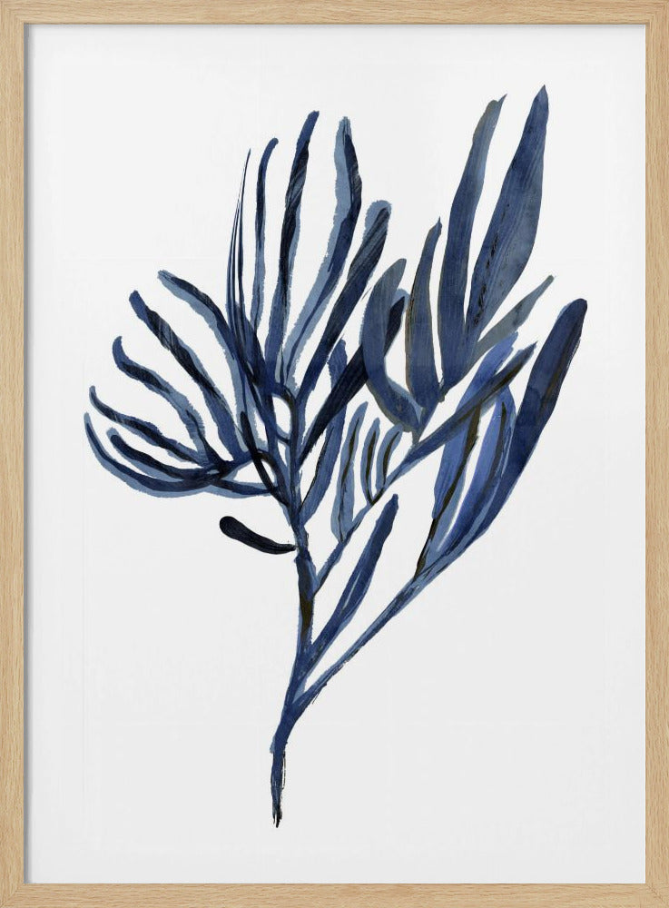 Blue Aquatic Plant Poster 2 | Poster