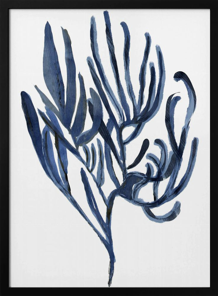Blue Aquatic Plant Poster 3 | Poster