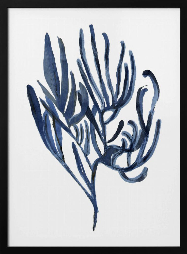Blue Aquatic Plant Poster 3 | Poster