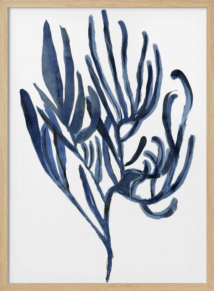Blue Aquatic Plant Poster 3 | Poster