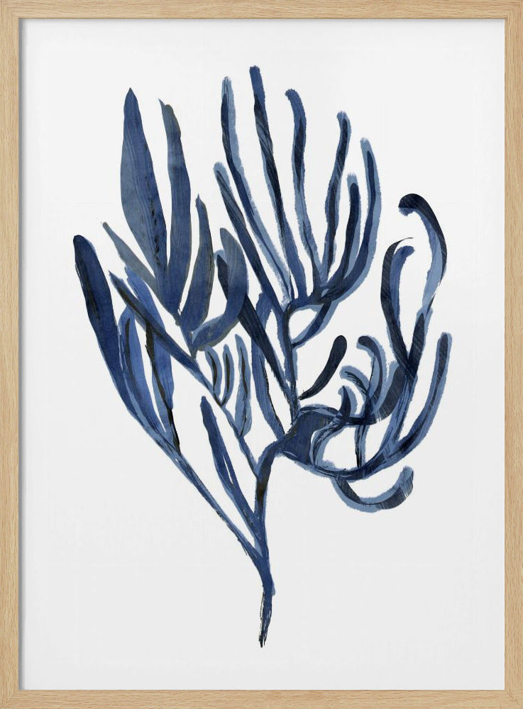 Blue Aquatic Plant Poster 3 | Poster