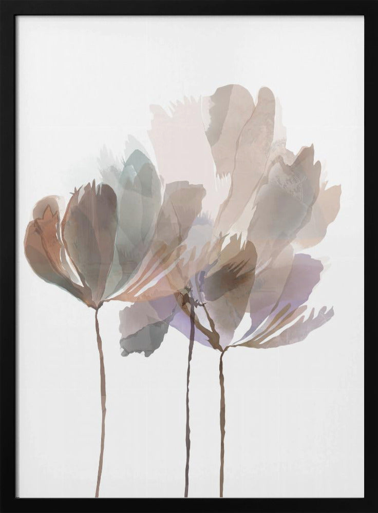 Blush Pink Flowers | Poster
