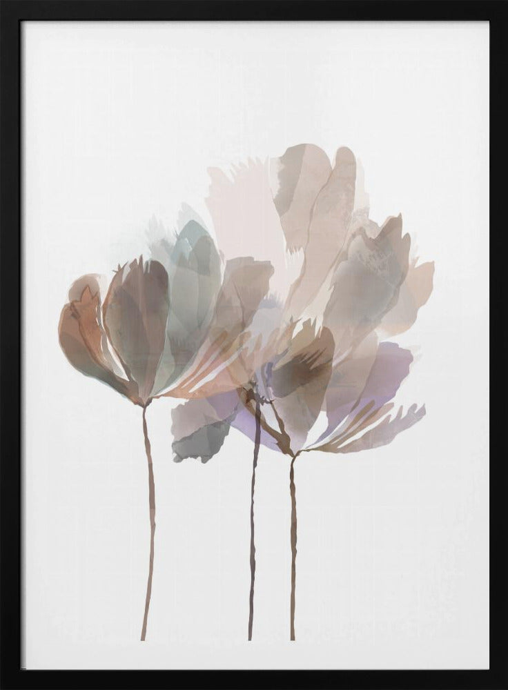 Blush Pink Flowers | Poster
