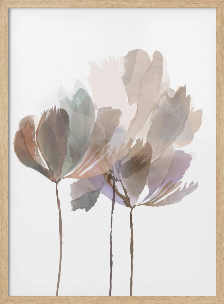Blush Pink Flowers | Poster