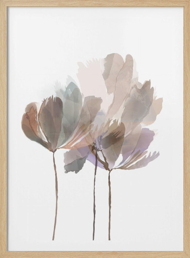 Blush Pink Flowers | Poster