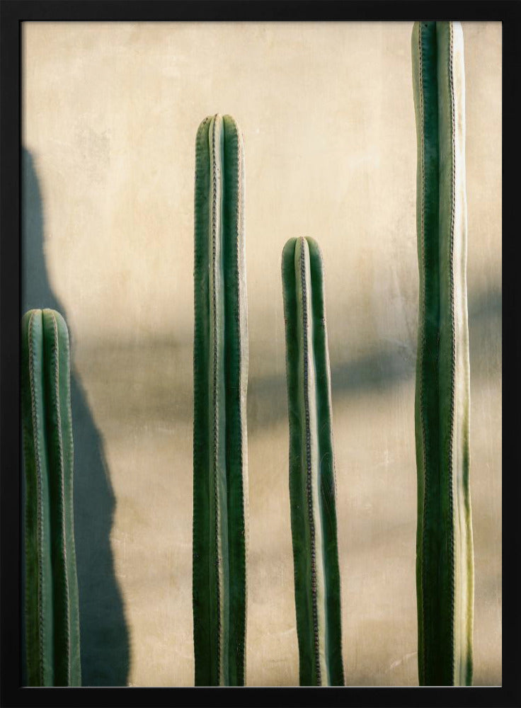 Oaxaca Shades of Green | Mexico travel photography | Poster