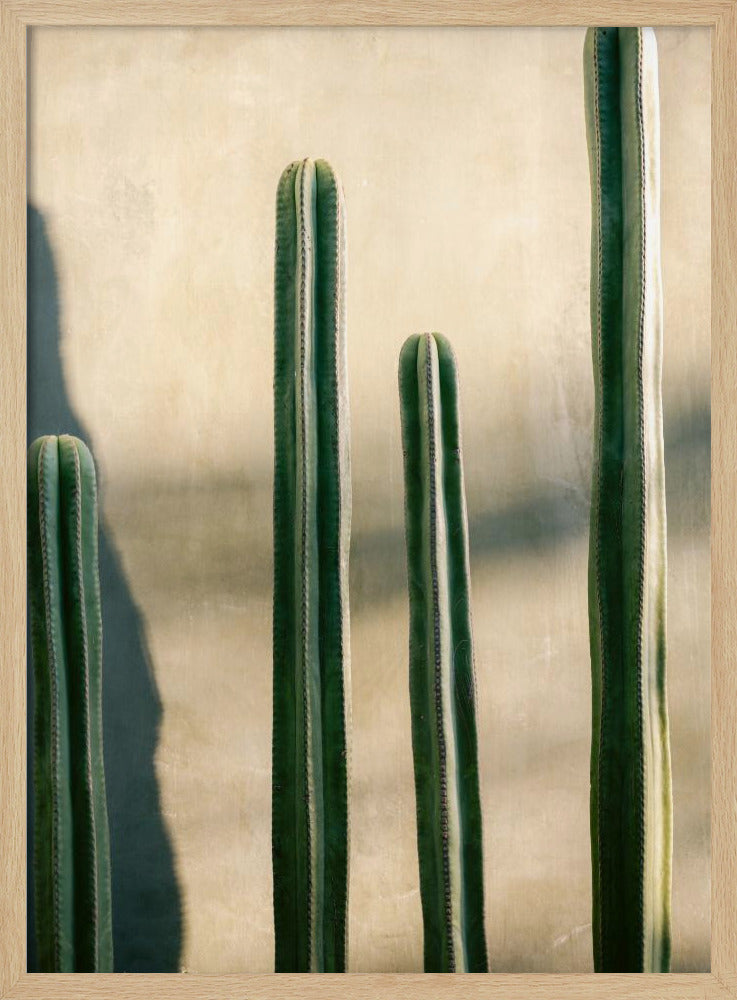 Oaxaca Shades of Green | Mexico travel photography | Poster