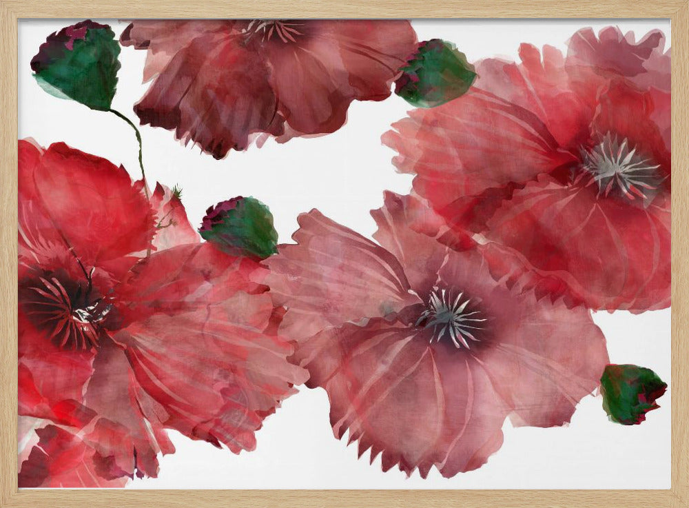 Big Red Flowers 1 | Poster