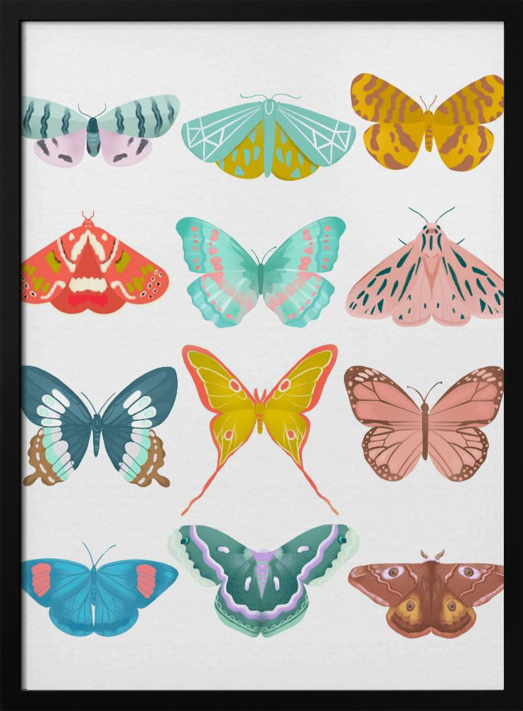 Butterfly | Poster