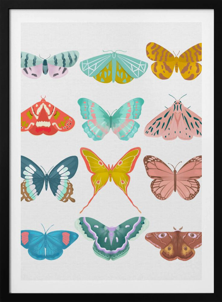 Butterfly | Poster