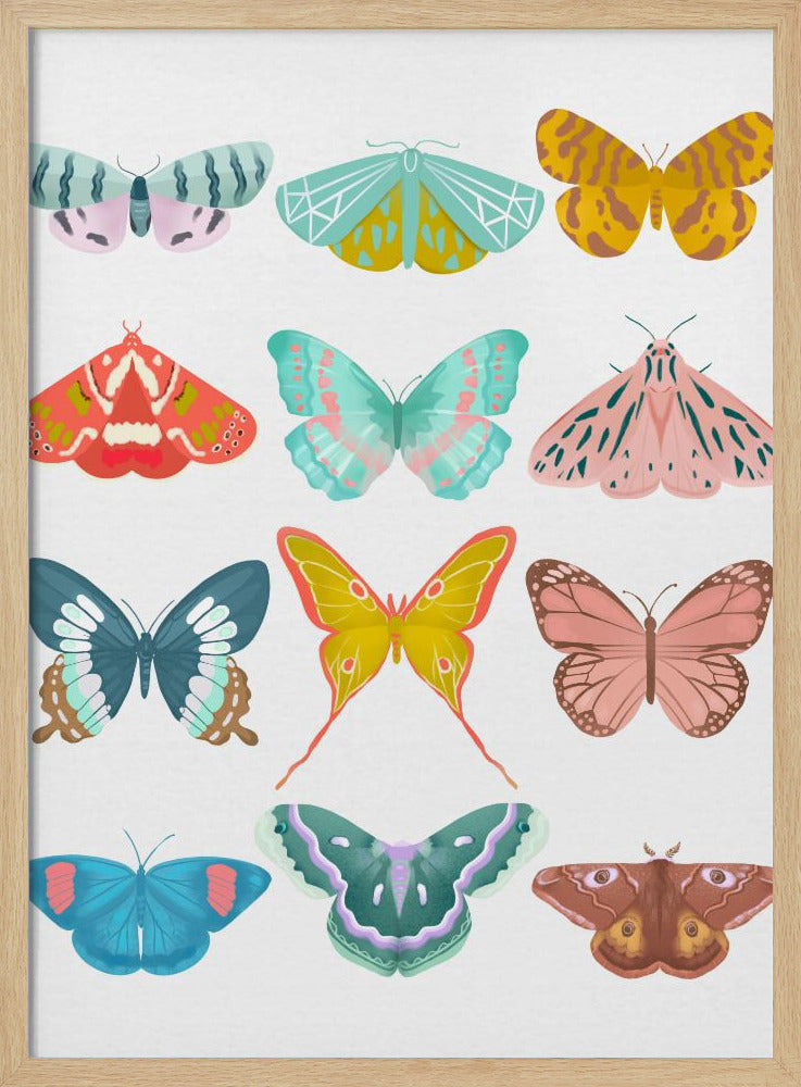 Butterfly | Poster