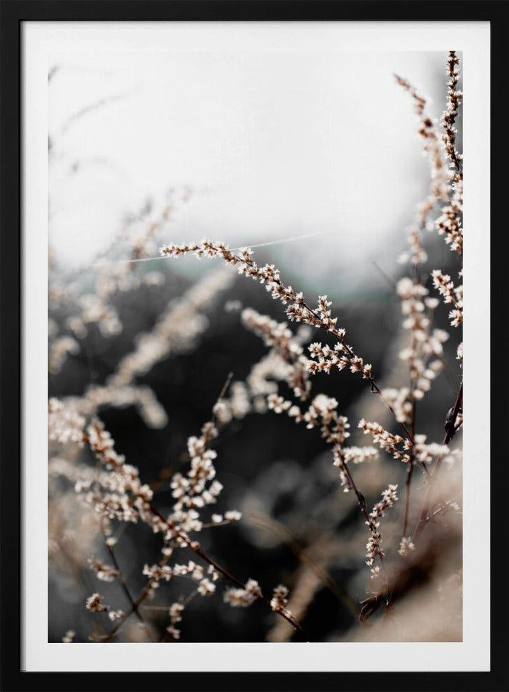 Unknown 10 | Poster