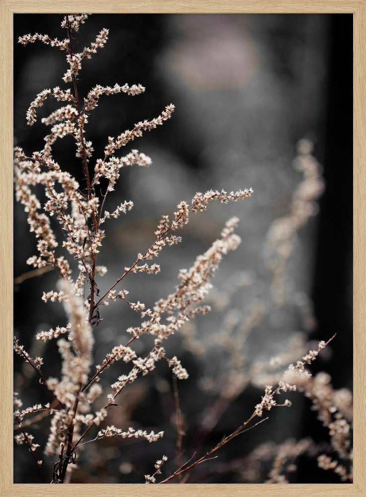Unknown 9 | Poster