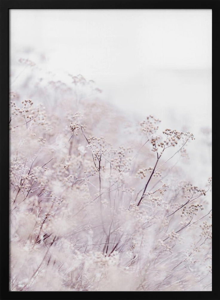 Unknown 13 | Poster