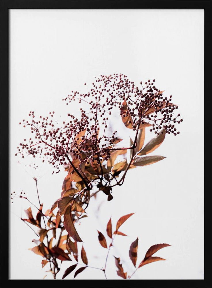 Unknown 14 | Poster