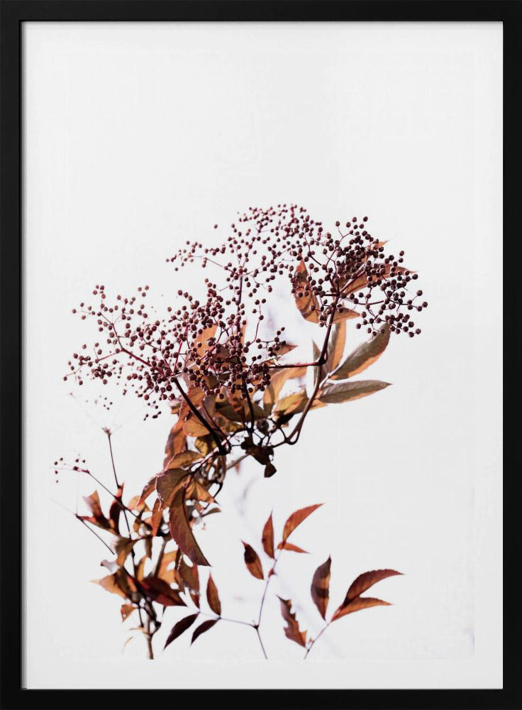 Unknown 14 | Poster