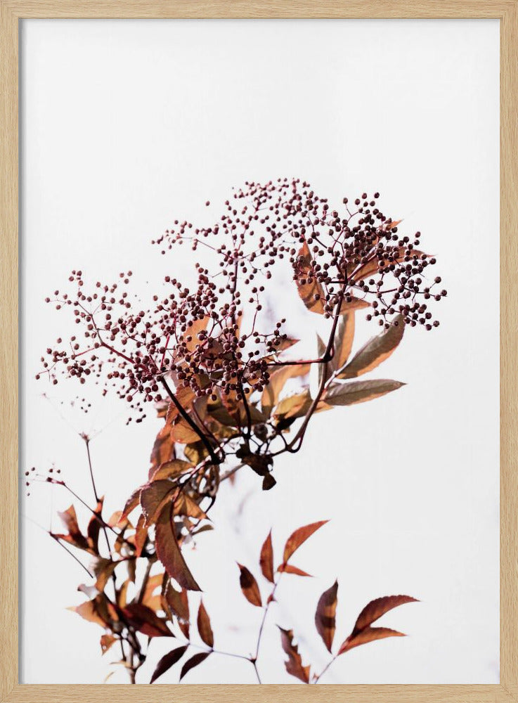 Unknown 14 | Poster