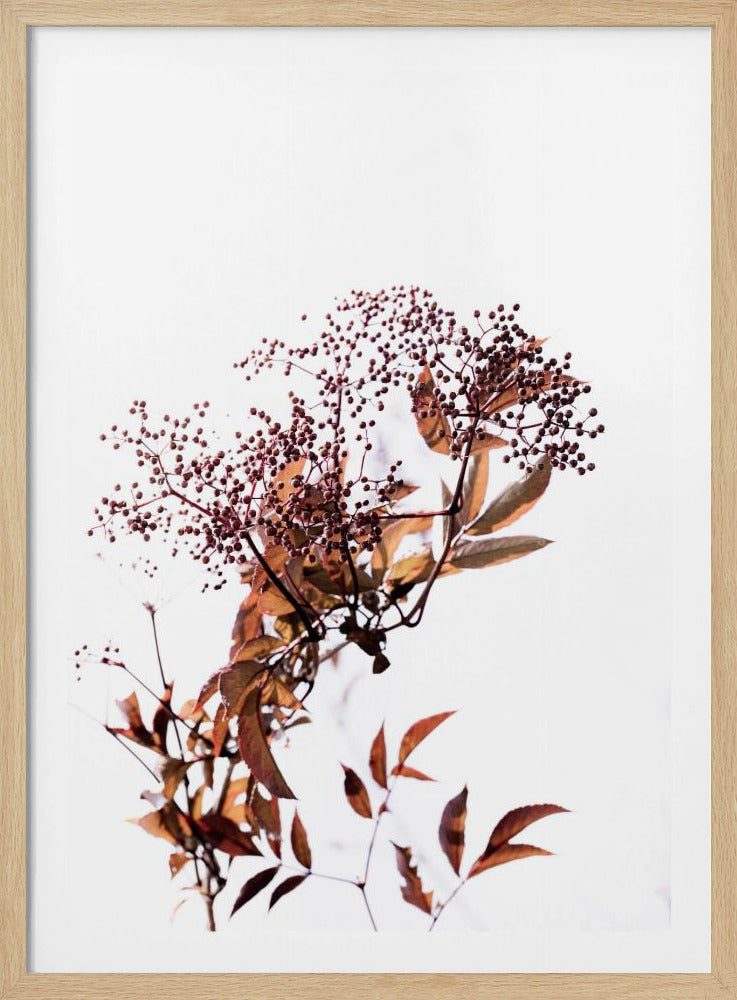 Unknown 14 | Poster