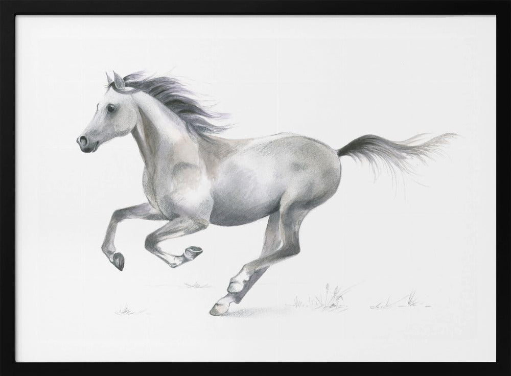 Dynamic Grace of A Galloping Horse | Poster