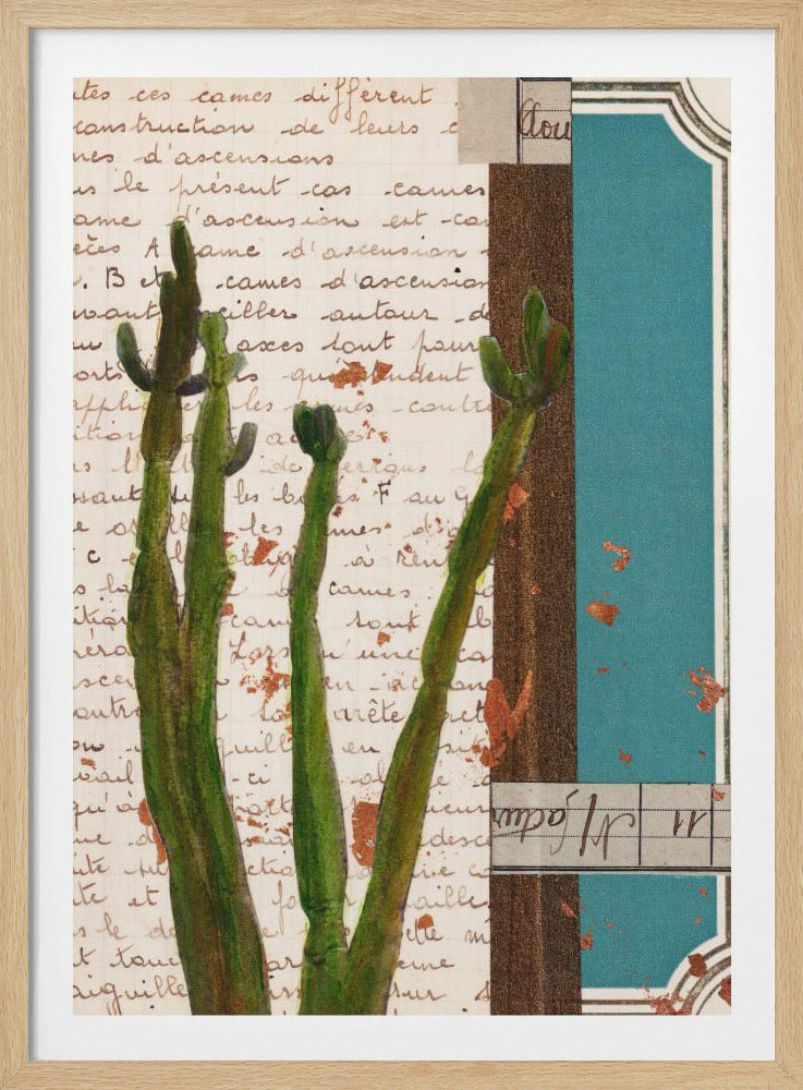 Cactus I | Poster