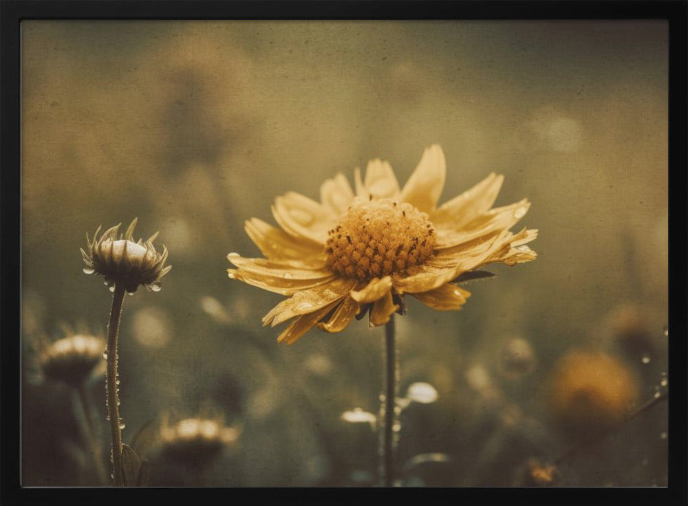 Golden Whisper | Poster