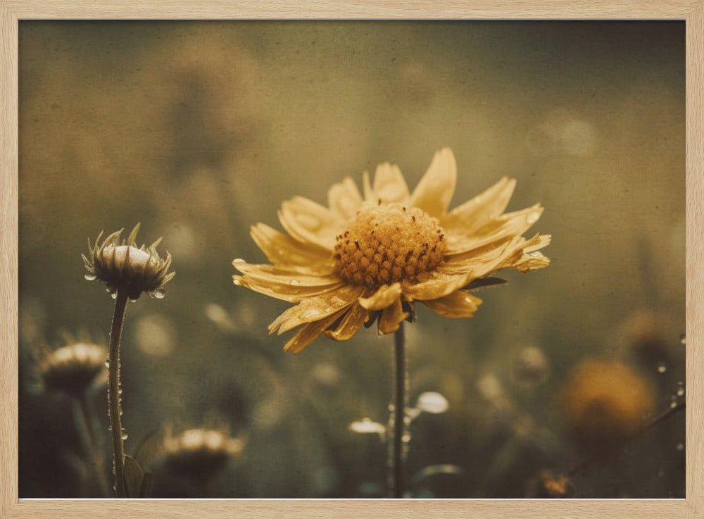 Golden Whisper | Poster