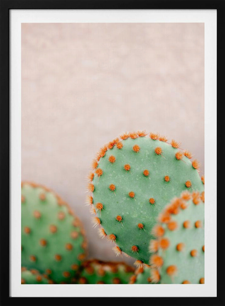 Cacti Pastel Tones | Poster
