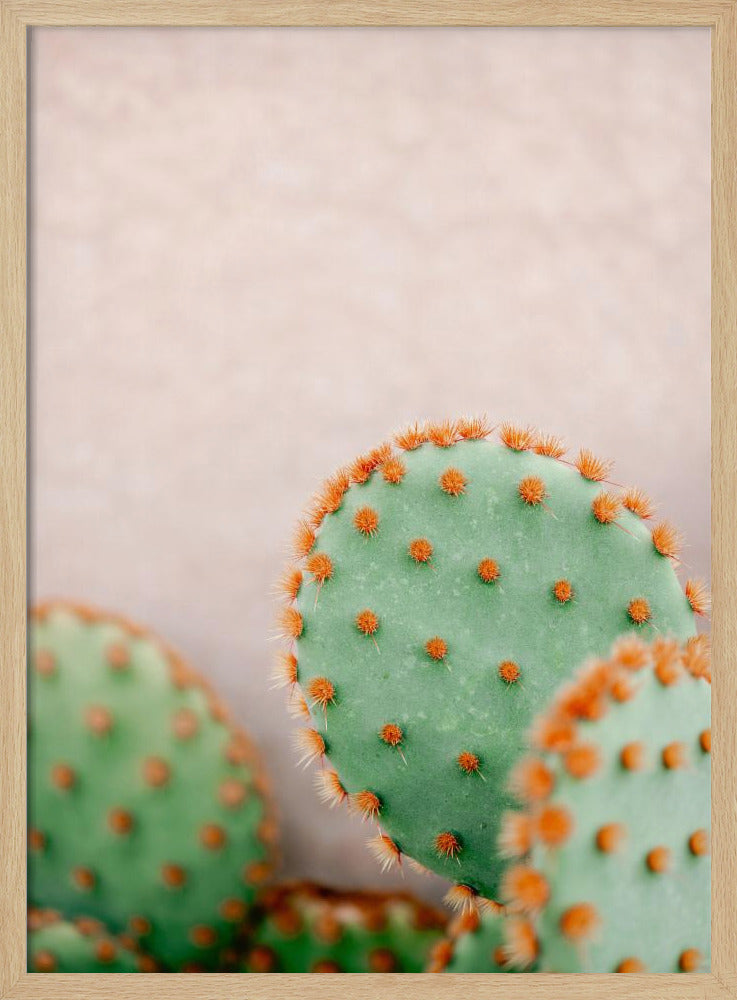 Cacti Pastel Tones | Poster