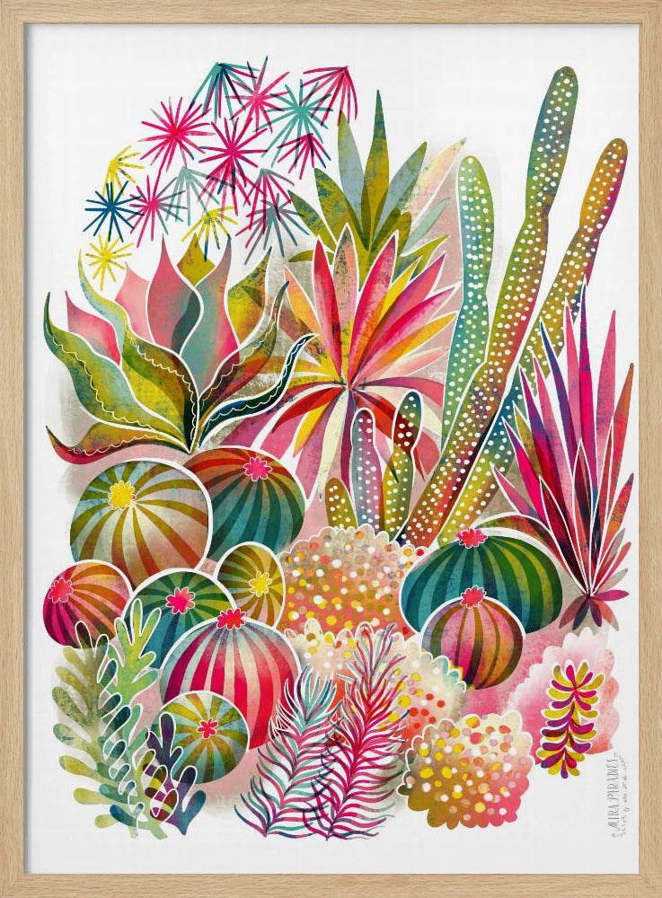 Flowering Succulent And Cacti Garden | Poster
