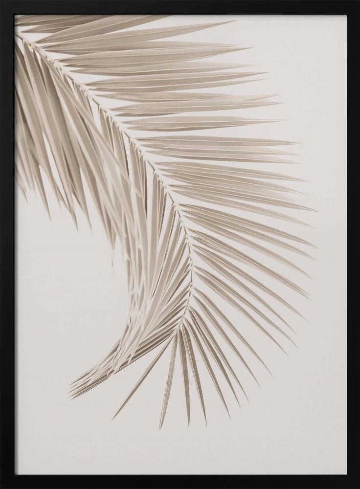 Tan Leaf | Poster