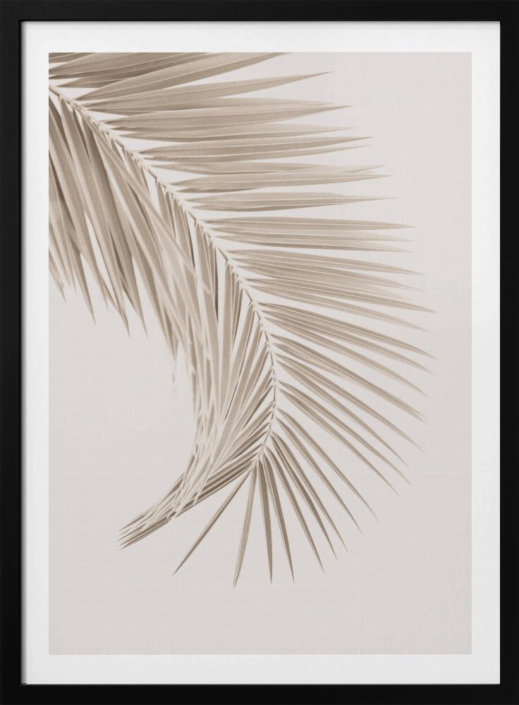 Tan Leaf | Poster
