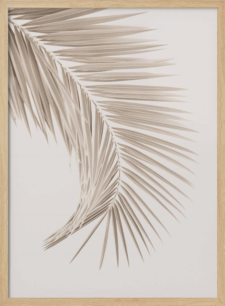 Tan Leaf | Poster