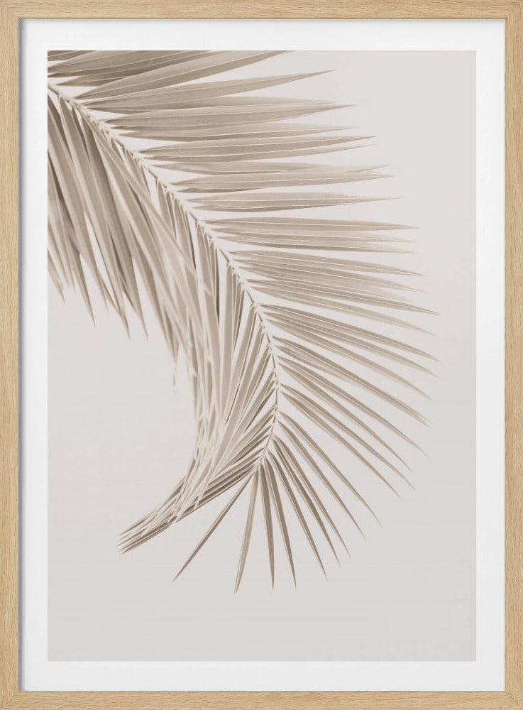 Tan Leaf | Poster