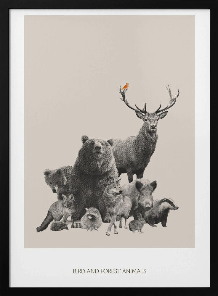 Bird and Forest Animals | Poster