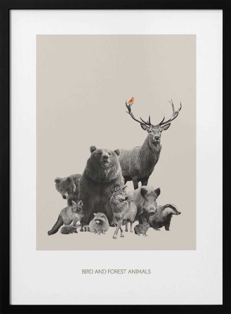 Bird and Forest Animals | Poster