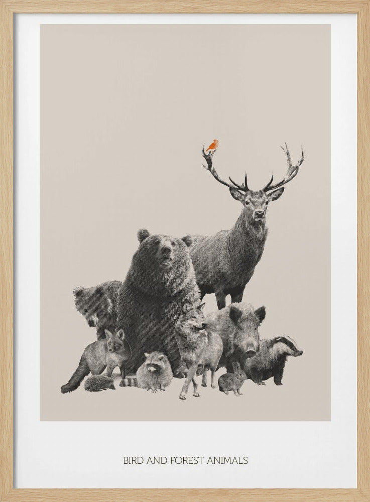 Bird and Forest Animals | Poster