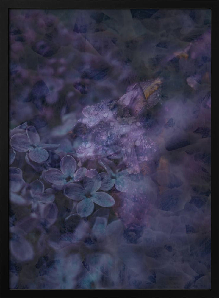 Spring #12.png | Poster