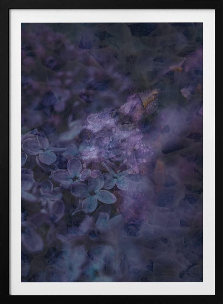 Spring #12.png | Poster