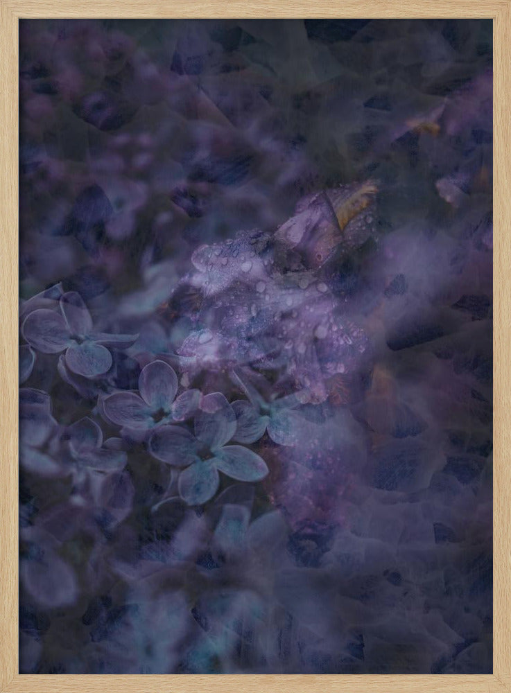 Spring #12.png | Poster