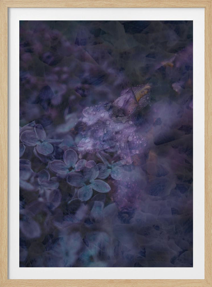 Spring #12.png | Poster