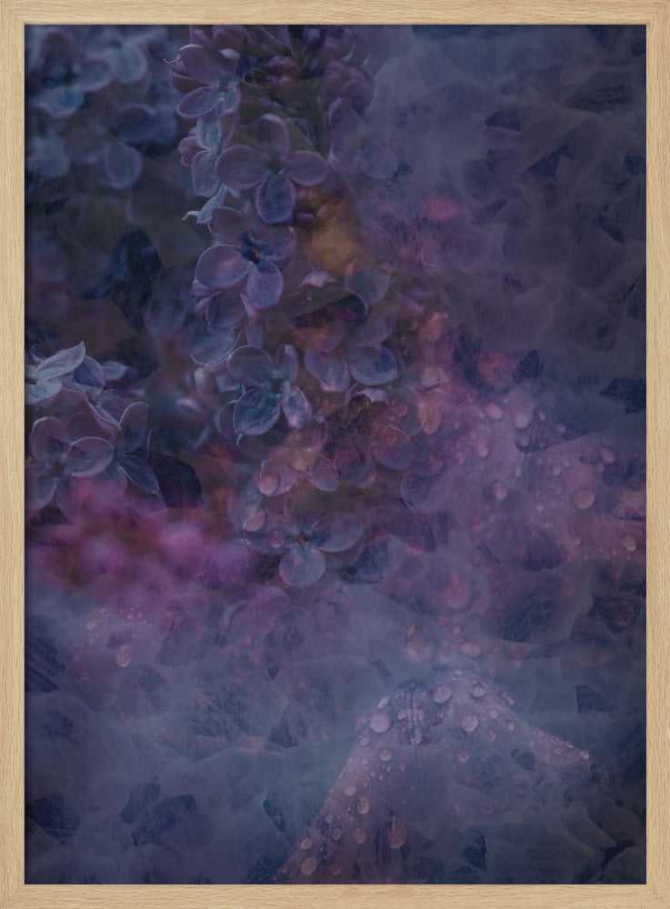 Spring #13.png | Poster