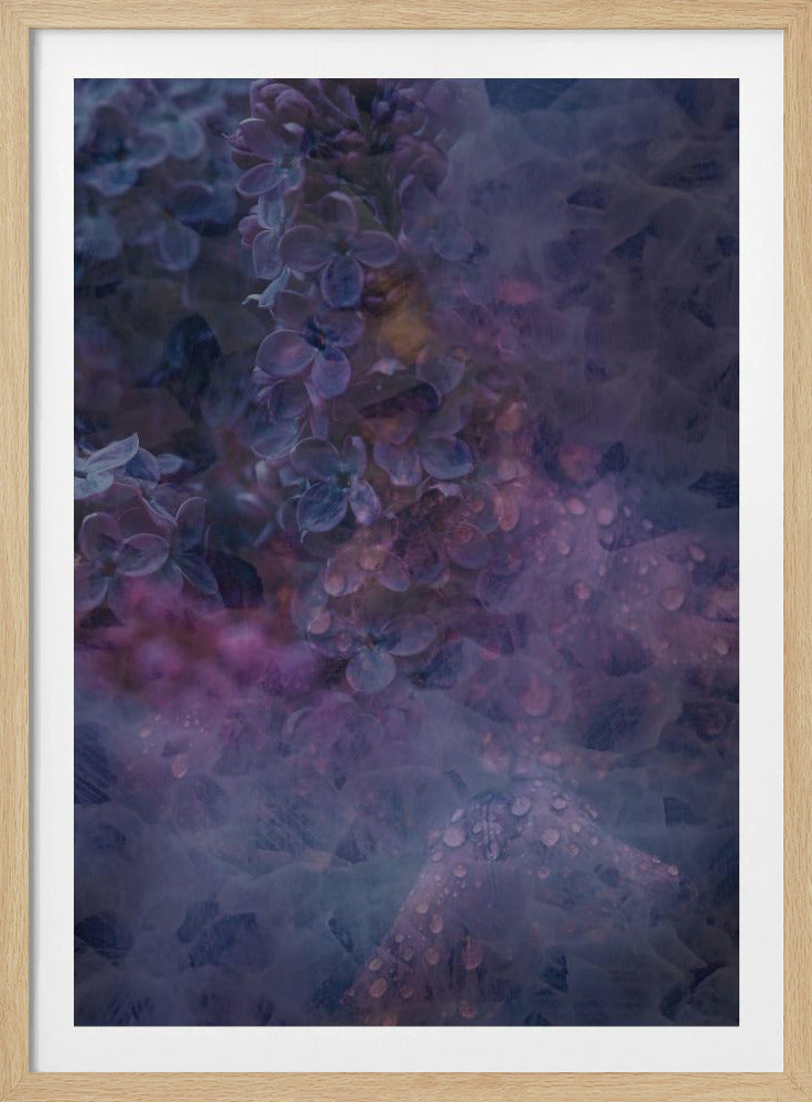 Spring #13.png | Poster