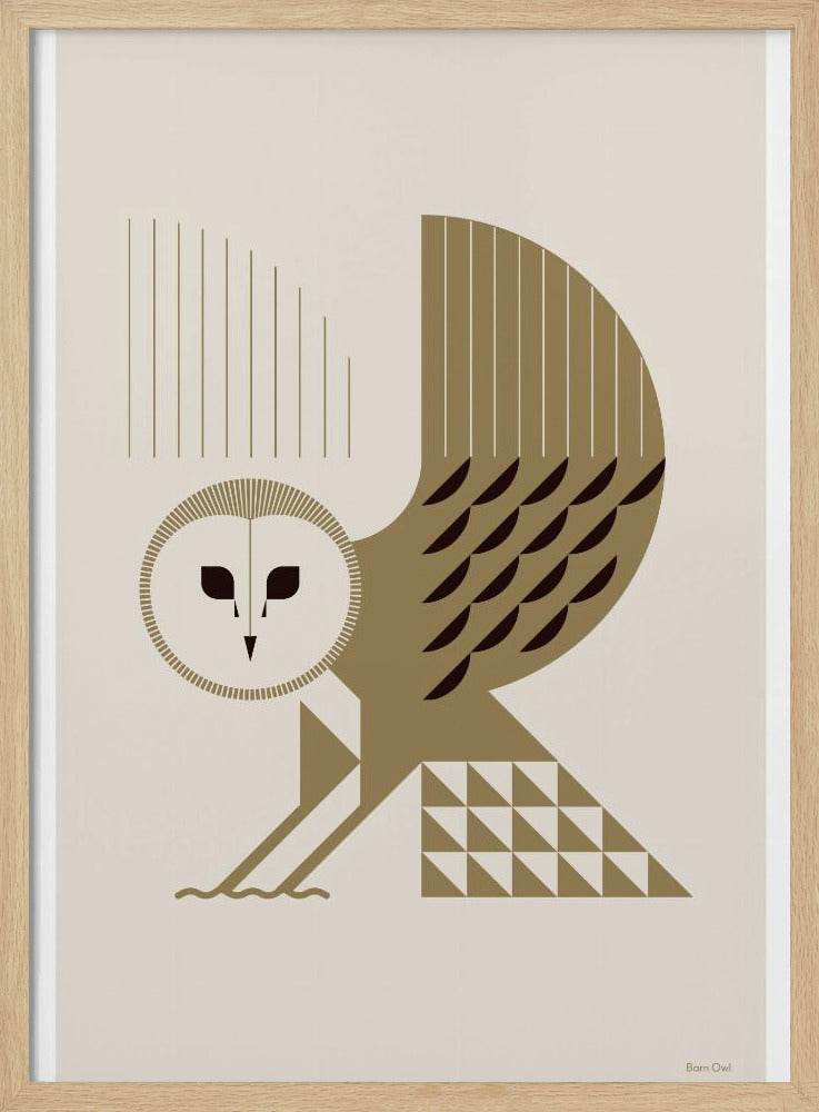 Golden Animals - Barn Owl (White) | Poster
