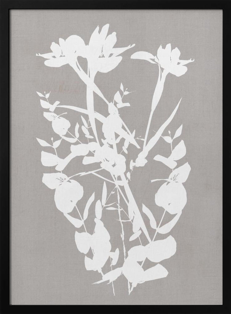Botanical Illustration 1 | Poster