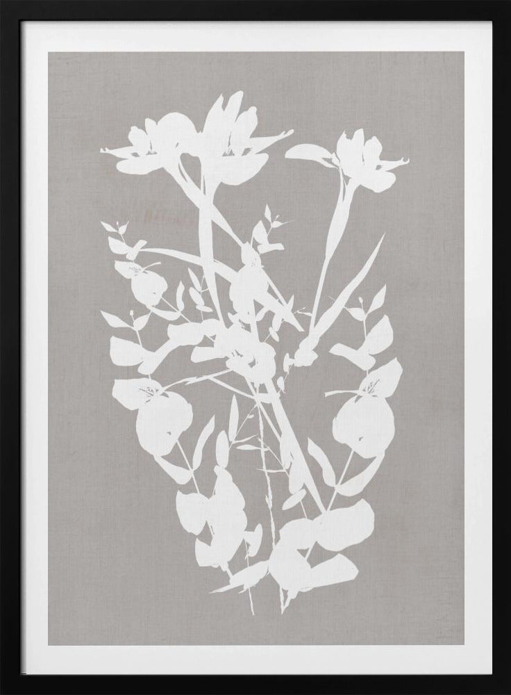 Botanical Illustration 1 | Poster