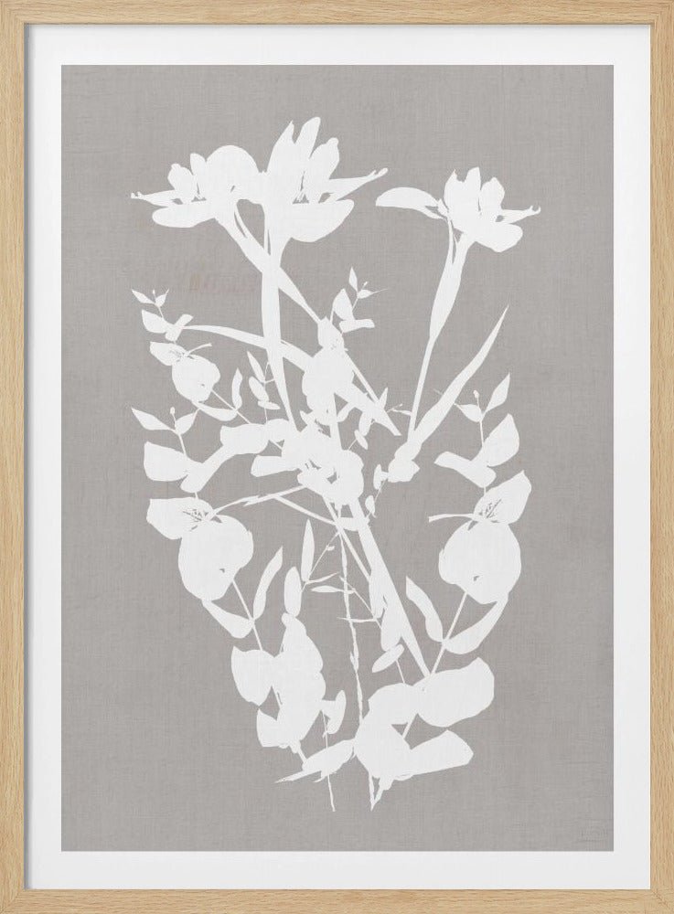 Botanical Illustration 1 | Poster