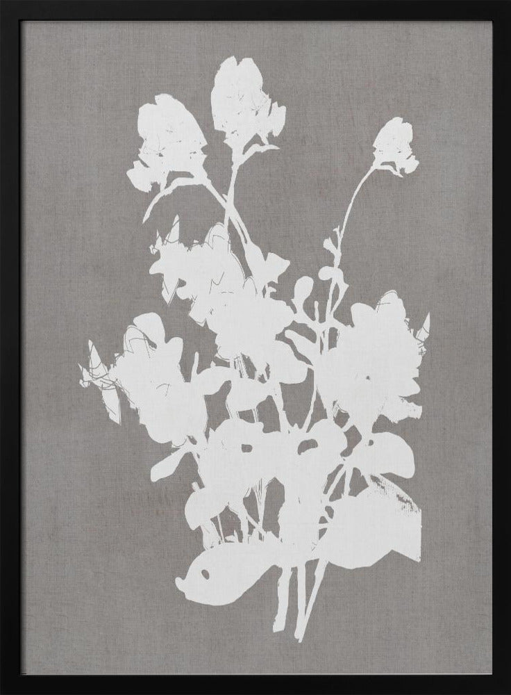 Botanical Illustration 3 | Poster