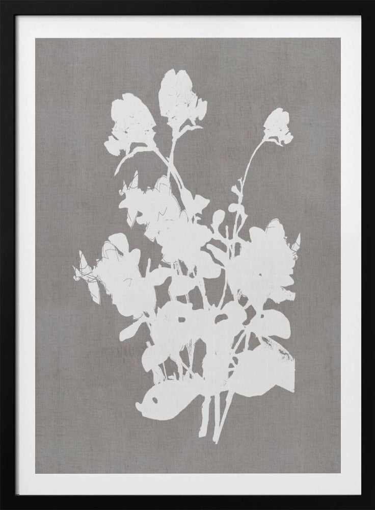 Botanical Illustration 3 | Poster